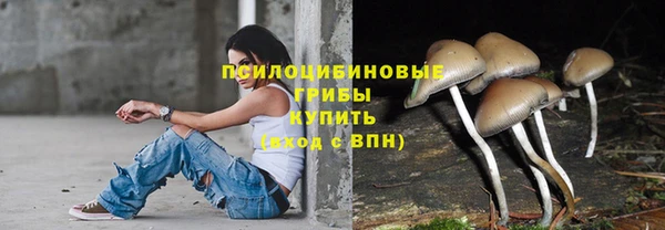 ПСИЛОЦИБИНОВЫЕ ГРИБЫ Семикаракорск