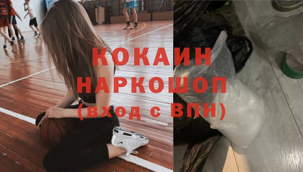ешки Семилуки